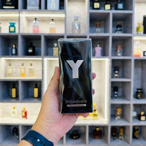 ysl hà nội